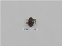 藏品(木生黑金龜)的圖片